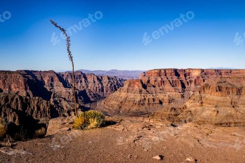 Preview: Grand Canyon West Rim - Arizona, USA