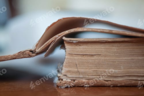 Preview: In the library