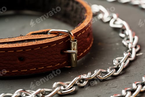 Preview: Pet collar and leash on gray background