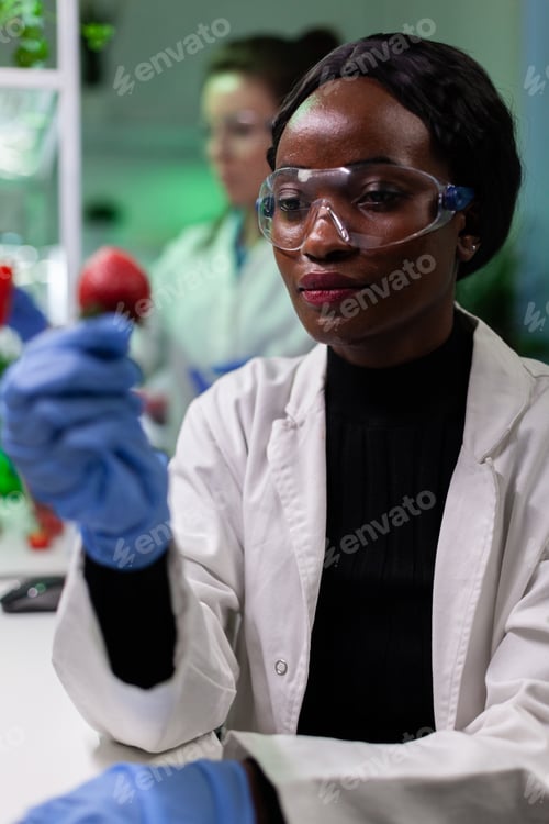 Preview: African american biologist researcher holding organic strawberry