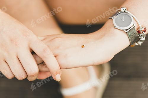 Preview: Young woman holding in her hand a ladybug.
