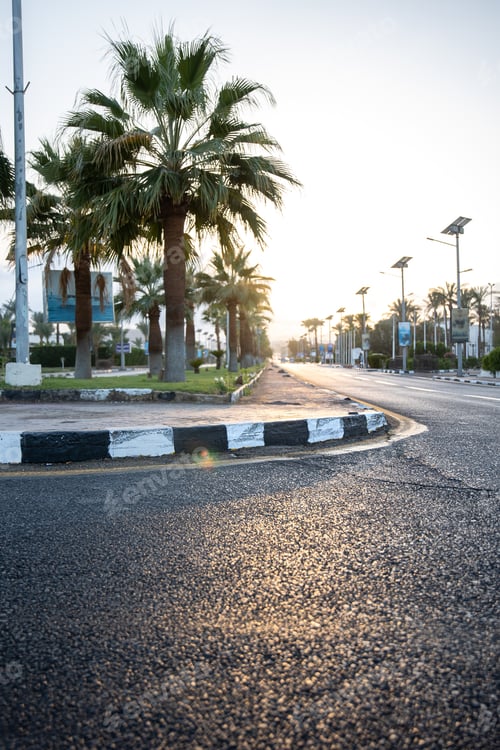 Preview: City asphalt road with palm trees along the road at sunset.