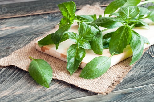 Preview: Wet basil leaves on a old wooden table