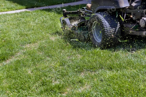 Preview: Mowing cutting the long grass with a green lawn mower