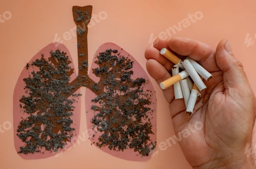 Preview: World No Tobacco Day. Man holding broken cigarettes in hand on unhealthy lungs drawing