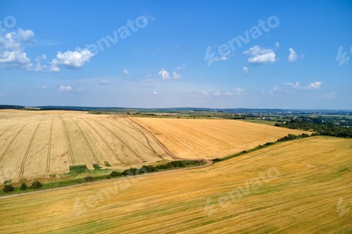 Preview: Aerial landscape view of yellow cultivated agricultural field with dry straw of cut down wheat