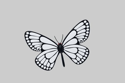 Preview: Black and white butterfly design
