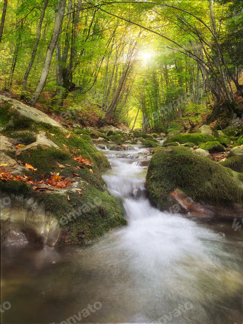 Preview: River deep in mountain forest.