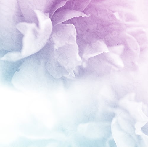 Preview: Sweet Color Roses Flower In Soft And Blur Style On Mulberry Paper Texture