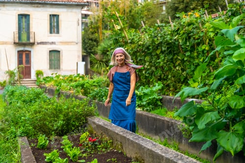 Preview: Senior woman gardening in vegetable raised beds