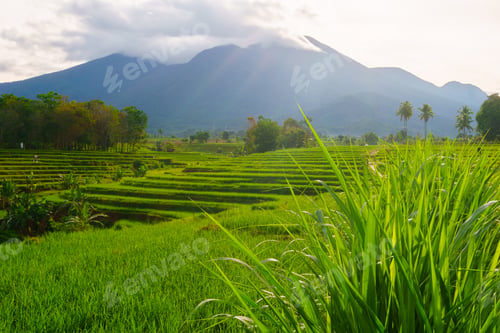 Preview: Beautiful morning view indonesia panorama landscape
