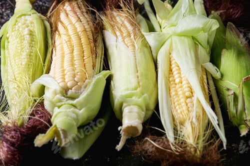 Preview: Young raw corn cobs