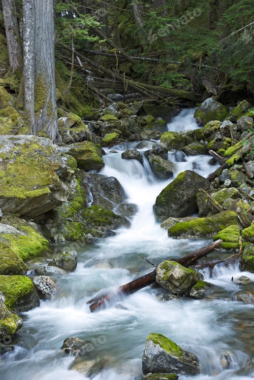 Preview: Rocky Creek