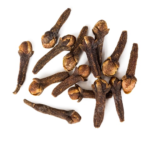 Preview: Spice cloves isolated on white background.