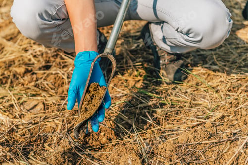 Preview: Soil Sampling. Agronomist Taking Sample with Soil Probe Sampler