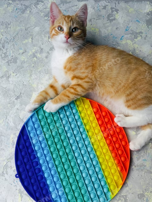 Preview: Funny ginger cat laying on gray marble background and playing with round shaped big pop-it toy