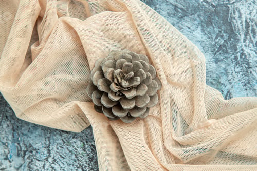 Preview: top view pinecone on beige shawl on dark background