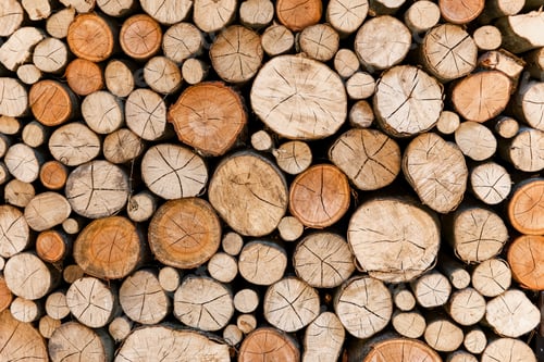Preview: Cross section of tree trunks, timber background. Log trunks pile, the logging timber wood industry