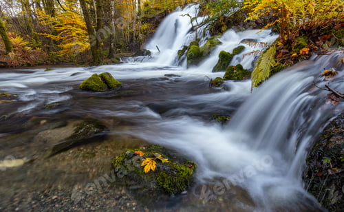 Preview: Autumn At The Waterfall