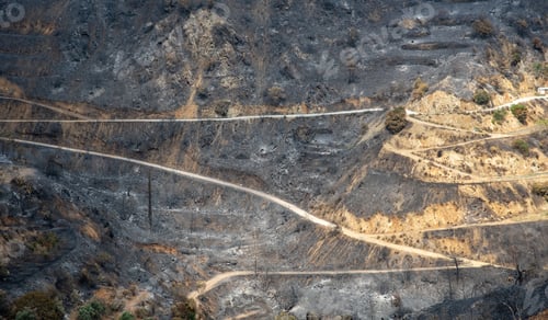 Preview: Mountain fire with burned agriculture land and forest. Disaster of the environment