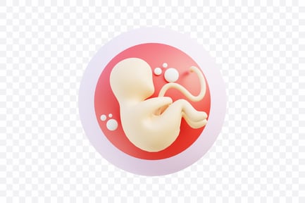 Visualização: Conceito de embrião humano