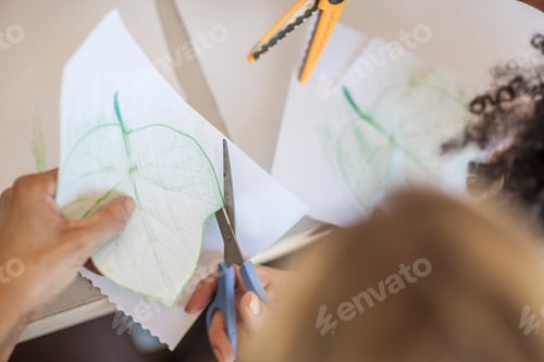 Preview: Mid adult woman using scissors to cut our leaf shape, overhead view
