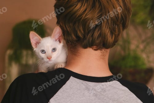 Preview: Back view of man with kitten on his shoulder