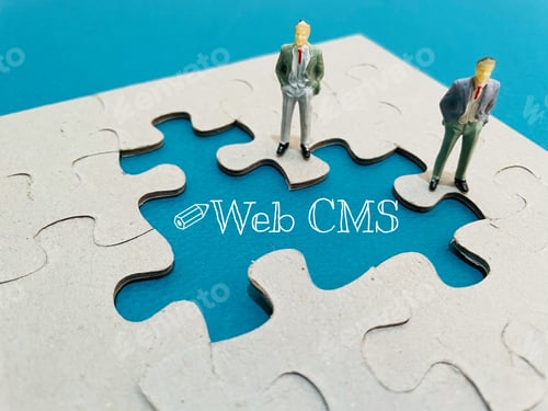 Preview: Web CMS