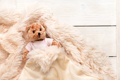 Preview: Small fur baby toy bear is covered with a warm blanket