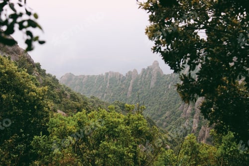 Preview: Natural landscape. Foggy mountains. Green plants in the top of mountain. Fog. Green trees on rock