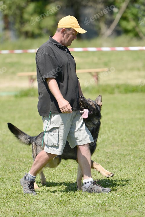 Preview: Police Dog Training