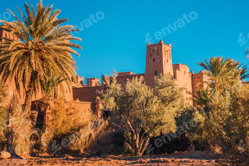Preview: Ancient stone buildings near palms