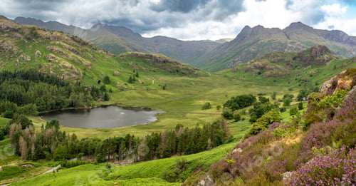 Preview: View of Blea Tarn from Lingmoor Fell, England