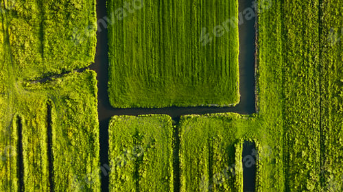 Preview: Aerial view of green field. Netherlands. Canals with water for agriculture.