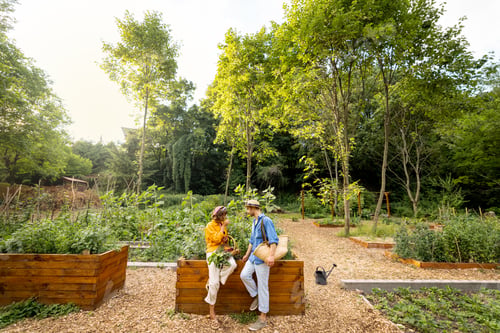 Preview: Young stylish couple stand at home garden