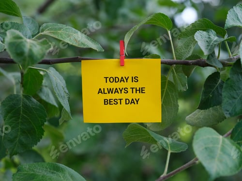 Preview: A paper note with the phrase Today is Always the Best Day on it attached to a tree