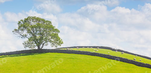 Preview: Yorkshire Dales Panoramic Landscape