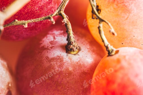 Preview: ripe dark grape close up. wooden background