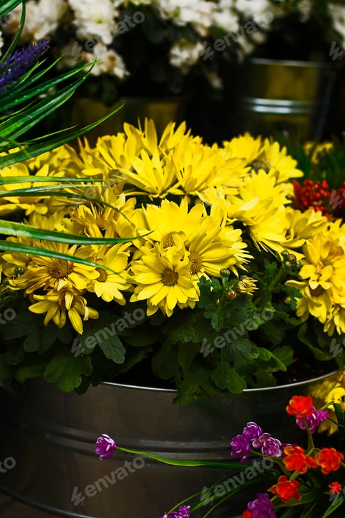 Preview: Yellow flowers on the street.Modern decoration idea.Big bouquet.