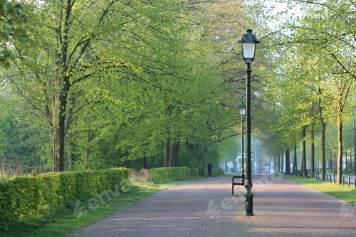 Preview: Beautiful view of a street lamp on a pathway in the park with fresh green trees with a light sky