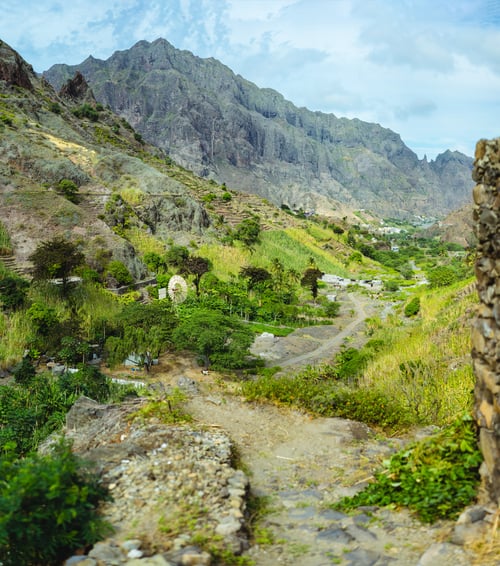 Preview: Palm trees in front of arid rocky terrain. Huge barren mountain in background. Santo Antao Island