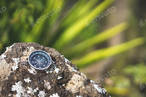 Preview: Navigation concept - Analogical compass laying on the rocky stone. Blurred agave plant leaves in
