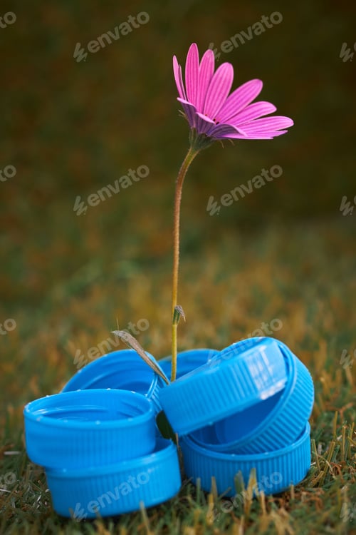 Preview: Vertical of a purple daisy between blue plastic bottle lids on a lush green grass