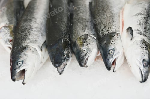 Preview: Salmon on the ice at a market.