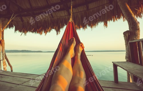 Preview: Hammock