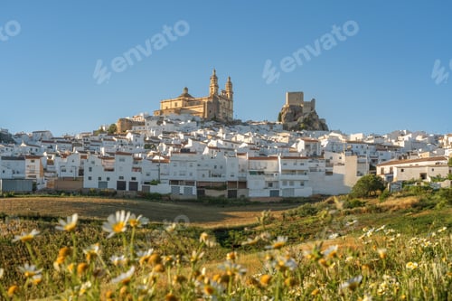 Preview: Olvera Skyline at sunset with wildflowers - Olvera, Andalusia, Spain