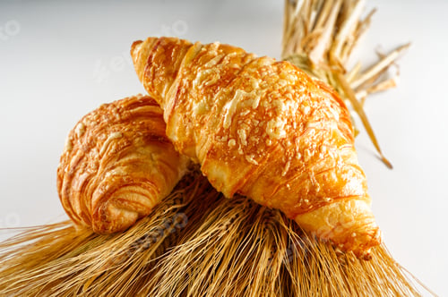 Preview: Fresh croissants with cheese. traditional hommade french pastries for breakfast