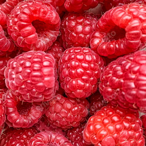 Preview: red