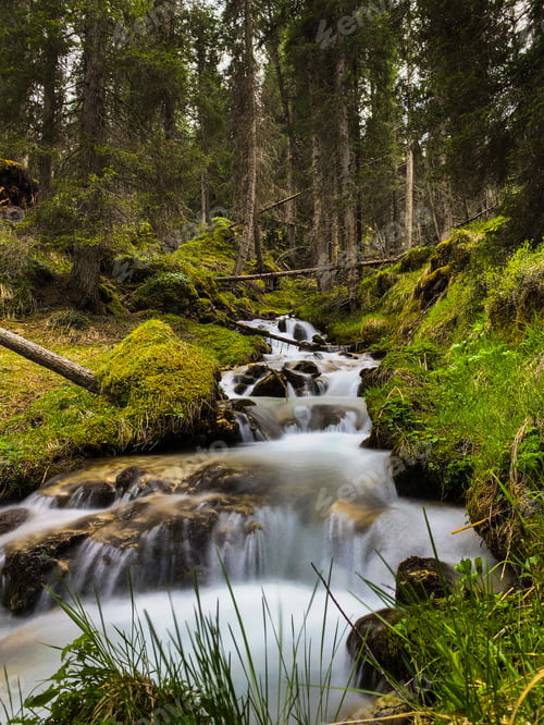 Preview: Little waterfalls in the wood