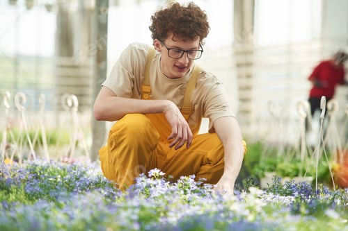 Preview: Yellow colored uniform. Young man with curly hair and in glasses is in greenhouse